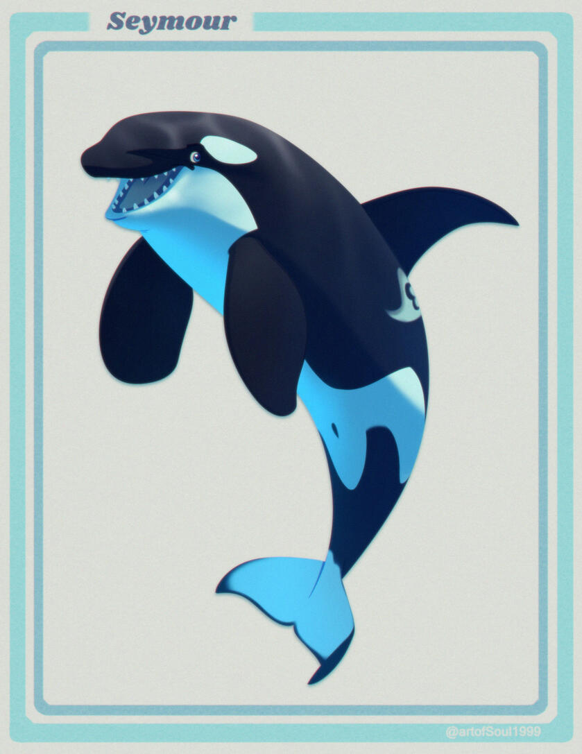 Seymour's new design Seymour, formerly known as Guillaume, one of my orca OCs. He is an 18-year-old male, so he is bulky with large pectoral flippers, tall dorsal fin and curled flukes, though still not fully developed. He has rounded diamond shaped eye patches and a bright sa